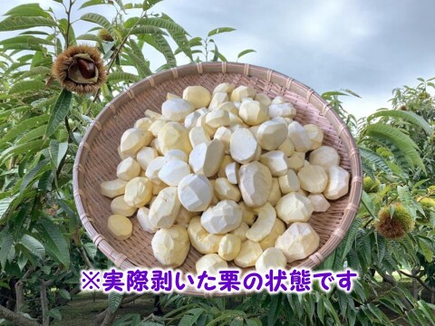 【先行予約】ほっこり甘さ凝縮！『冷凍むき栗』山鹿和栗 （250ｇ×2パック）５００ｇ箱入り