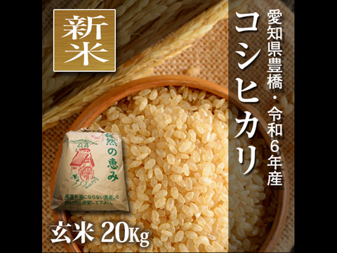 ★新米★【節減対象農薬6割減】コシヒカリ 玄米20g（10kg×2袋）【令和6年・愛知県産】