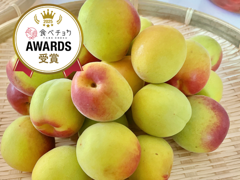 朝もぎたて！ 紀州南高梅 完熟梅 梅干し用 4kg 【特別栽培】 訳あり