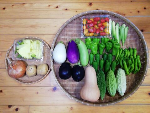 【農薬・化学肥料不使用】花オクラ入り野菜セット【６～８種類の野菜】【食べ方説明書付き】【金曜日クール便で発送】【あわせ買い可】【熨斗(のし)対応可】【８０サイズ箱】