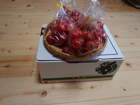 旬の新鮮ミニトマト4袋(1kg)施設栽培(バジル葉試食付き)