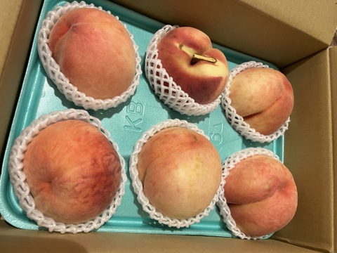 おどろくほど硬くて大きい「おどろき」桃　８０サイズ箱　優品（ご自宅用）