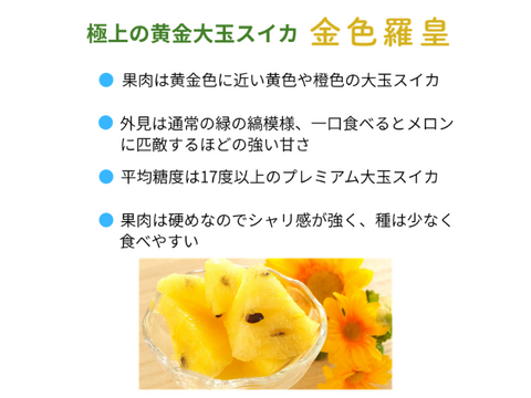 尾花沢大玉スイカ 金色羅王 4L 2玉 18~20kg 糖度17度前後の超甘 山形産