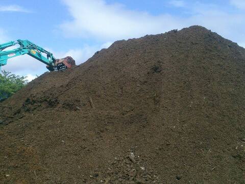 【有機JAS】令和7年新米 山の水で育てた棚田のお米【いのちの壱】農薬・化学肥料不使用 2.5kg