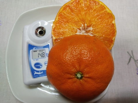 2箱のみ　お弁当のお供に　つぶらな甘平　４キロ