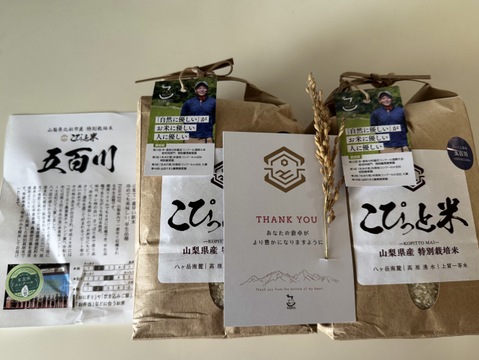 【令和7年産】冷めても美味しい！【五百川】白米・4kg　特別栽培米　こぴっと米