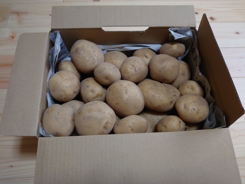 旬の春植え新鮮ジャガイモ(ニシユタカ)L,M玉5kg期間限定商品