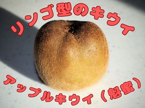 「アップルキウイ」甘い！黄色果肉種　1kg