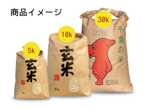 【新米】もち米 マンゲツモチ 10kg（玄米）/ 令和5年