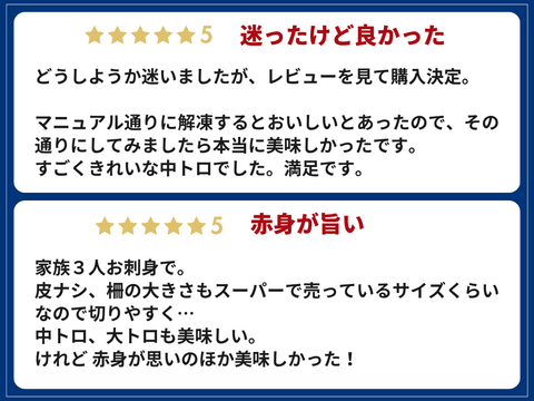 【夏ギフト】旨味たっぷり💛「赤身600g」切り落し柵 大きさ不揃いの柵 (皮・骨・血合いなし)💫切るだけ簡単調理！