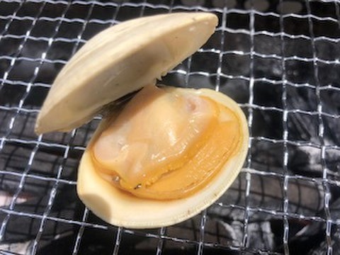 【10セット限定】村政丸スペシャル ホンビノス貝　極み