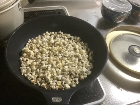 ポップコーン用トウモロコシ