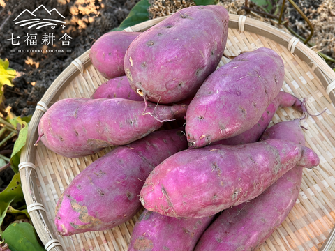 【訳あり・家庭用】紅はるか3kg｜毎日の料理にも、おやつにも｜おがくず梱包