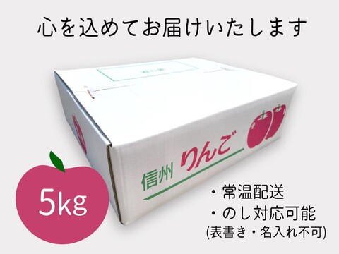 芳醇な香りと甘さ！りんご「トキ」5㎏(2L～Sサイズ)贈答用 長野県 信州安曇野産