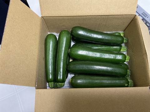 【鹿児島産】甘塩ズッキーニ箱込み2キロ^_^