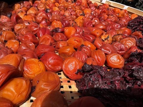 【完熟・南高梅　サイズ混合約10ｋｇ】特別栽培・奈良県産