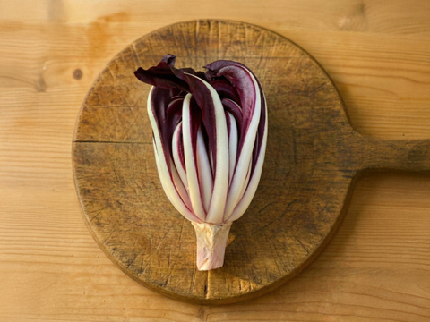 北イタリア・トレヴィーゾ伝統の高級野菜！ラディッキオ・タルディーボ1個  約200g×1個