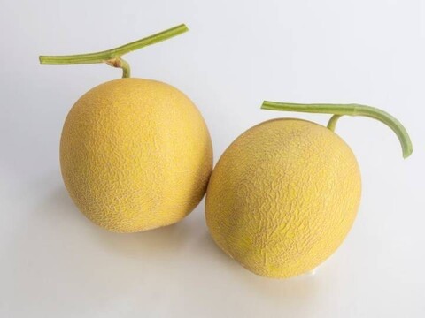 【最高金賞 受賞】極上メロン 渥美の陽光-HIKARI-(1.5kg１玉入)