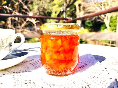 ハンドメイド『グレープフルーツマーマレード』【無添加・白砂糖不使用】200cc