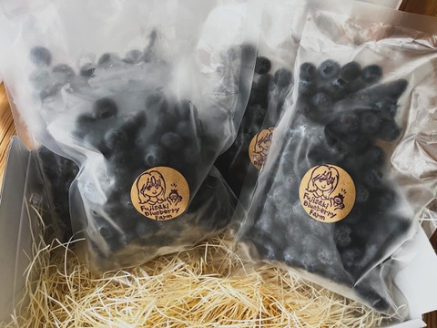 【肥料農薬不使用】2025年収穫！自慢の冷凍ブルーベリー！(1kg)