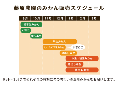 とれたてしもつみかん5kg｜和歌山県海南市下津町から産地直送でお届け