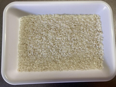 【令和7年 新米】いのちの壱 白米1kg（大粒希少米）岐阜県産