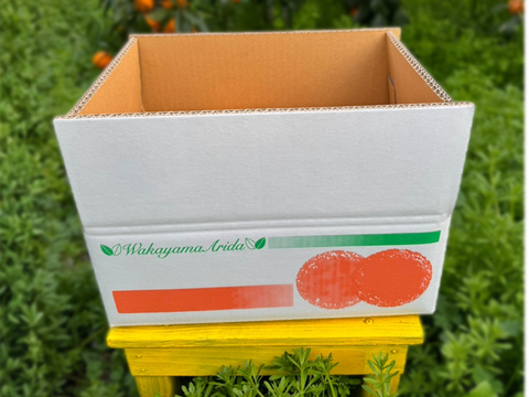 甘くて爽やかな希少柑橘🍊春峰【良品・サイズ混合・3kg箱】