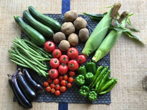 【お試し】自然栽培の手渡したくなるお任せ野菜SET（Sサイズ）