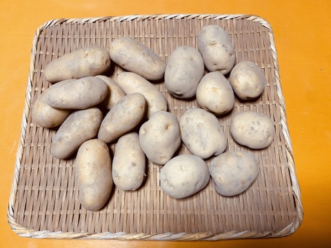 希少な自然栽培のジャガイモ【男爵1kg】＋【メークイン1kg】セット