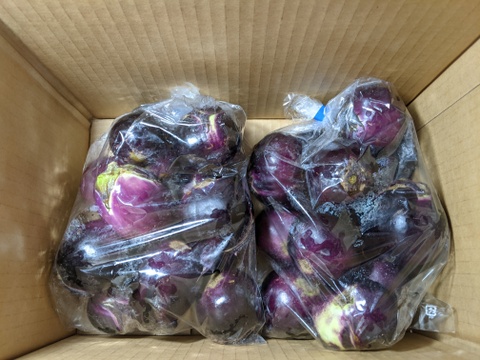 薄皮丸ナス3L：山形県産の野菜｜食べチョク｜産地直送(産直)お