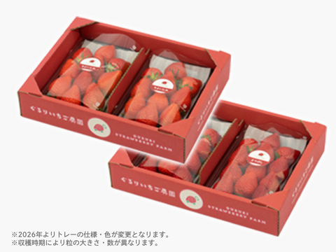 4パック｜贅沢いちごの食べ比べ！やよいひめ×2・よつぼし×2 合計1kg！