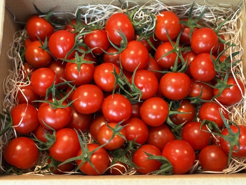 思わずほおばりたくなるコクと旨み〜受賞歴ありたっぷり1kg