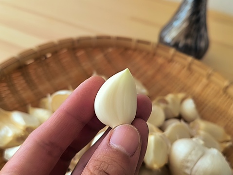✨青森県十和田産｜濃厚旨味のホクホクにんにく500ｇ✨