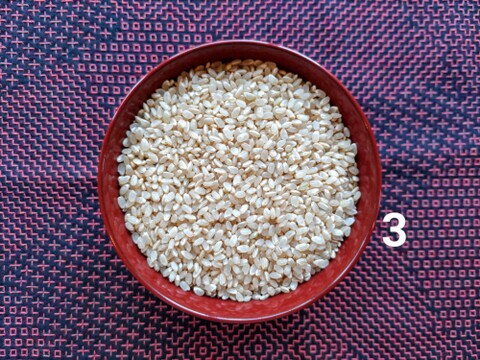 【エコ】【３分づき米＊１０ｋｇ】✨米穀類🥇１位✨食べチョクAW2023【栽培期間中農薬不使用コシヒカリ】有機質肥料のみ使用🌱1年間🌱化学肥料・除草剤・動物性堆肥不使用【令和７年産】一等米