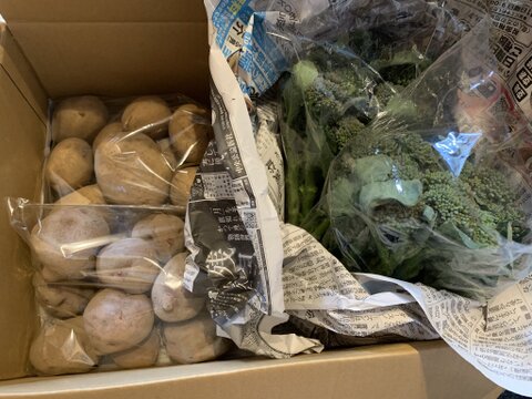 【数量限定】食べ比べ！アンデスレッド＆十勝こがねセット(じゃがいも)(2kg)[化学農薬・化学肥料・除草剤不使用]