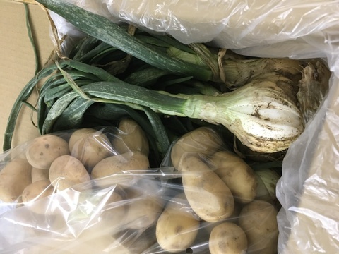 お披露目福箱+野菜セット(煎餅ちりめんひじき) 葉付き新玉2キロ 冬越じゃがいもメイクイン1、5キロ