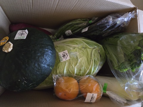 【たまきちさん専用】
ブラックのジョーかぼちゃ入り＋「イチオシ旬野菜セット」
秋の旬野菜たっぷりです。（大根リクエストあり）