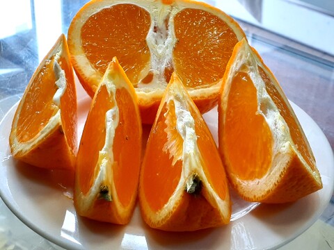 【母の日ギフト】甘さ果汁たっぷり大玉清見オレンジ４Kg冷蔵便