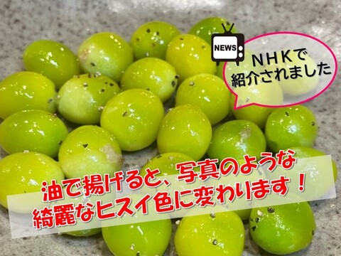 【秋の味覚】苦味が少ない、もっちもち祖父江銀杏【久寿】大玉３Ｌ５００ｇ（約120粒程度）