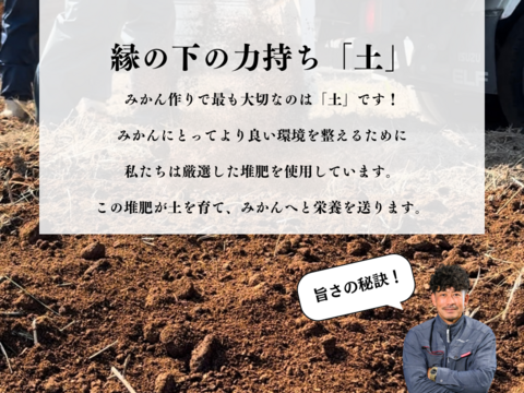 【家庭用5kg】濃厚でジューシー！潮風を浴びた高知県育ちの土佐文旦　柑橘みかん　オレンジ