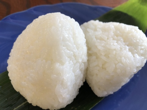 本物。棚田米　昔こしひかり令和4年度産　5ｋｇ　美味い米の新潟県一之貝産