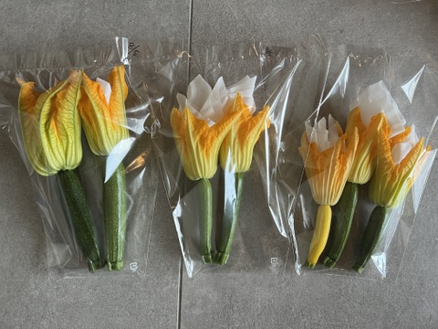 【規格外品】自然栽培の花ズッキーニ　12本