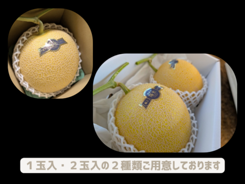 \\先行予約受付//【最高金賞 受賞】極上メロン 渥美の陽光-HIKARI-(１玉入)
