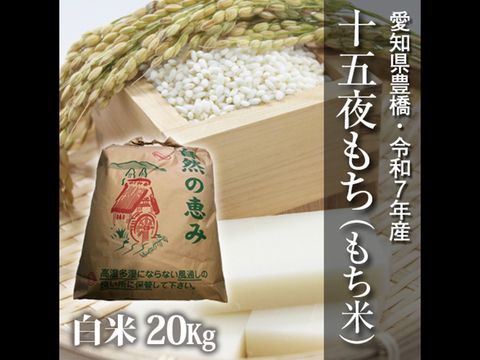 【節減対象農薬6割減】十五夜もち（もち米） 白米20kg【令和7年・愛知県産】