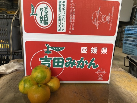 【１１月１８日～２３日収穫】甘酸っぱい！多少のキズはご容赦を【家庭用】早生ミカン”５kg”（サンプル糖度9.6～11.2度）