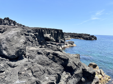 鮮烈な辛さを発する小さな巨人！八丈島の島とうがらし！(1kgパック)