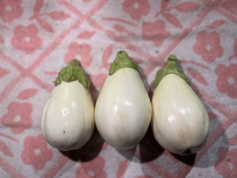 【訳あり】白ナス　6本