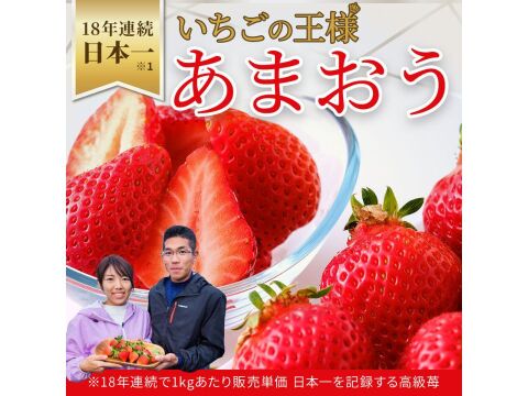 【いちごの王様！ あまおう苺 サイズ色々で270ｇ×6パック！【冬ギフト】