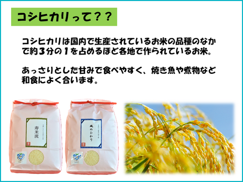 【新米】定期購入　茨城県産のお米10kg（月1回購入限定）
