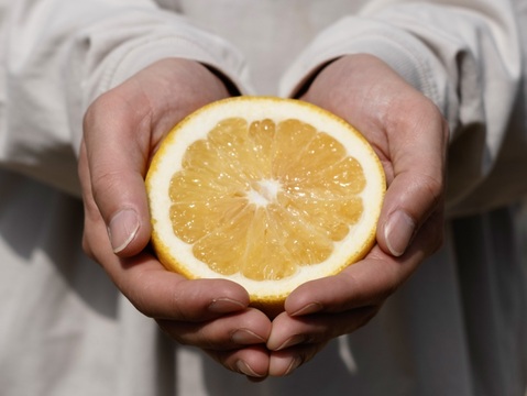 【訳あり】河内晩柑 2kg【ほのかな甘みに爽やかな酸味】